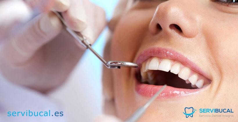 Dentición temporal y permanente: diferencias y cronología de erupción Dentición temporal y permanente: diferencias y cronología de erupción