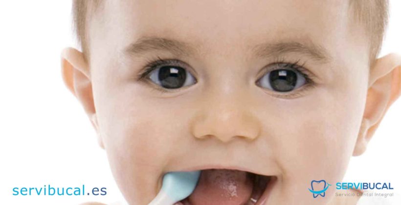 5 consejos y recomendaciones para cuidado bucal en niños y adultos 5 consejos y recomendaciones para cuidado bucal en niños y adultos