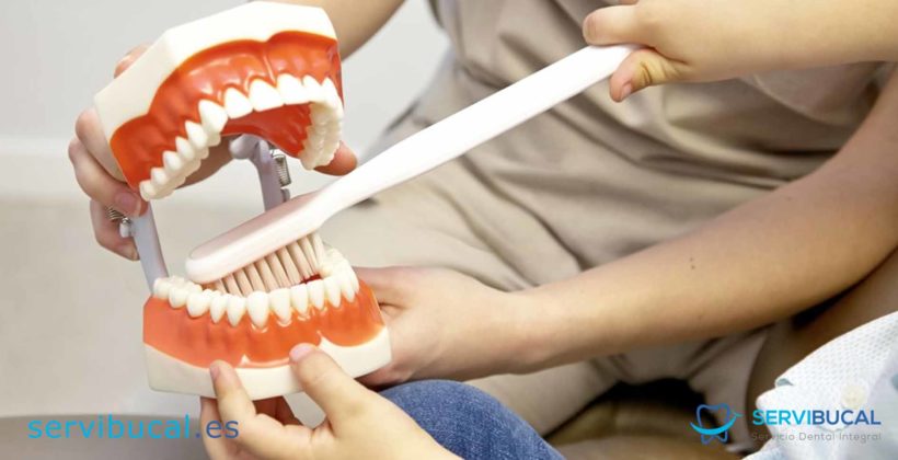 10 tipos de tratamientos dentales: Precios y características 10 tipos de tratamientos dentales: Precios y características