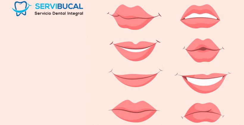 Frenillo labial: ¿qué es exactamente y cómo tenemos que cuidarlo? Frenillo labial: ¿qué es exactamente y cómo tenemos que cuidarlo?