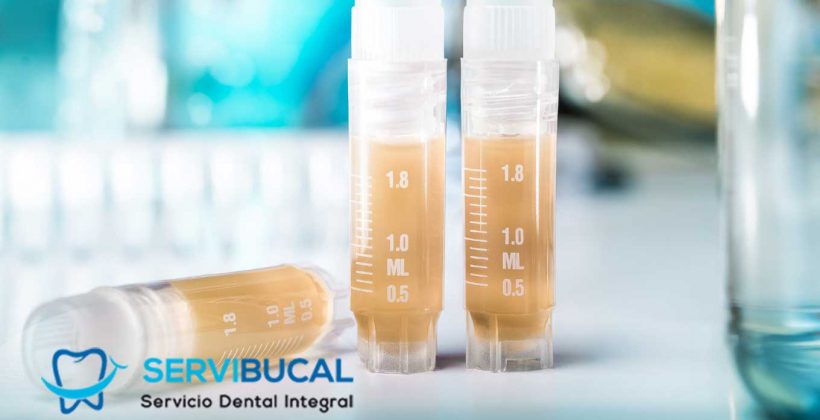 Bancos de dientes: fuente de células madre Bancos de dientes: fuente de células madre