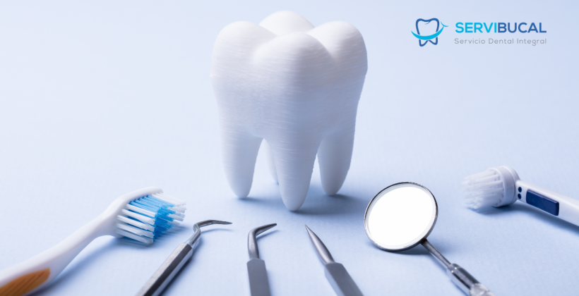 Alimentos para regenerar hueso dental: una guía completa para una salud bucal óptima